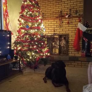 Meet your Posher, Brandy